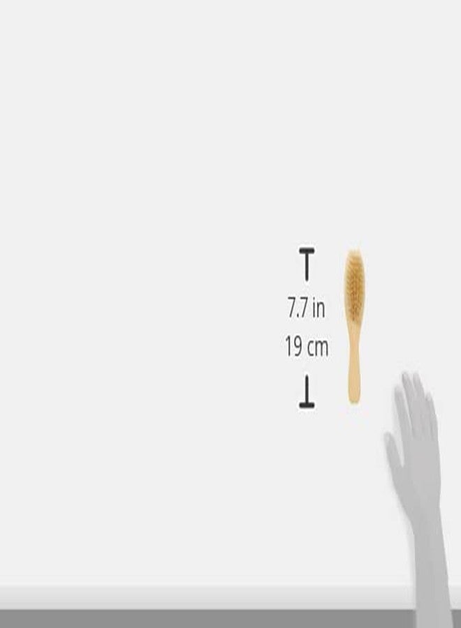 Trixie Dog/Cat Brush with Natural Bristles - Image 4